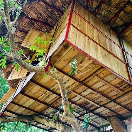 Muong Retreat- Nghi Duong Xanh Trong Bao Tang Van Hoa Nghe Thuat,Hoa Binh Hotel Bagian luar foto